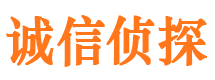 新浦市调查公司